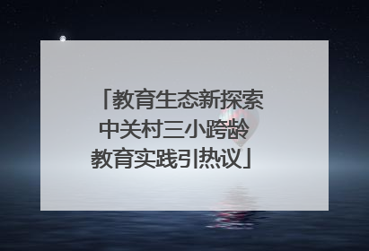 教育生态新探索 中关村三小跨龄教育实践引热议