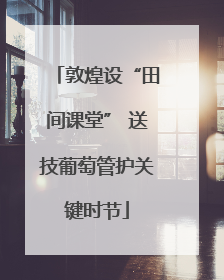 敦煌设“田间课堂” 送技葡萄管护关键时节