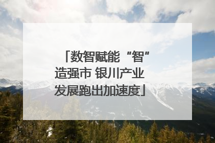 数智赋能“智”造强市 银川产业发展跑出加速度