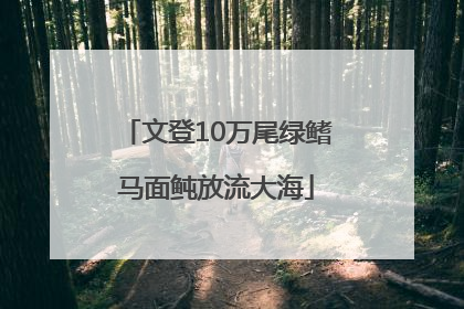 文登10万尾绿鳍马面鲀放流大海