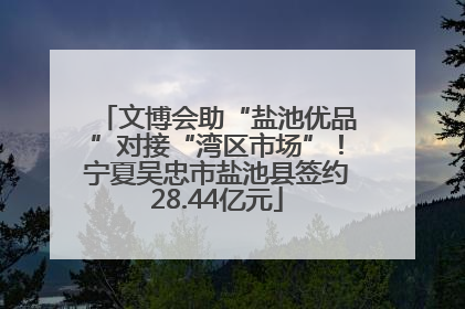 文博会助“盐池优品”对接“湾区市场”！宁夏吴忠市盐池县签约28.44亿元