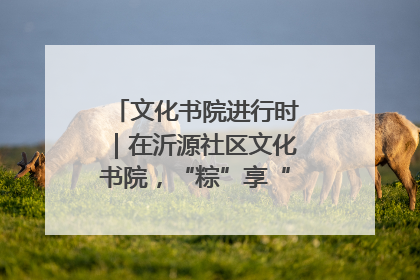 文化书院进行时｜在沂源社区文化书院，“粽”享“端午”美好时光