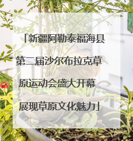 新疆阿勒泰福海县第二届沙尔布拉克草原运动会盛大开幕 展现草原文化魅力