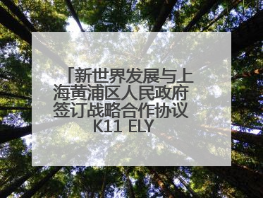 新世界发展与上海黄浦区人民政府签订战略合作协议 K11 ELYSEA璀璨启幕