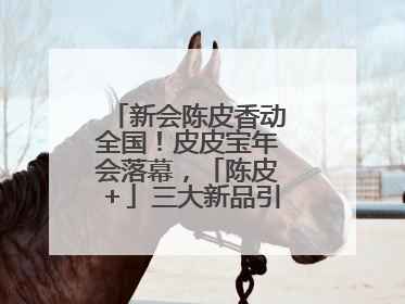 新会陈皮香动全国！皮皮宝年会落幕，「陈皮＋」三大新品引领产业升级