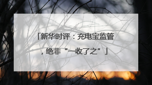 新华时评：充电宝监管，绝非“一收了之”