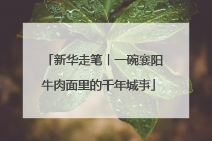 新华走笔丨一碗襄阳牛肉面里的千年城事