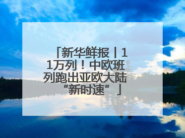新华鲜报丨11万列！中欧班列跑出亚欧大陆“新时速”
