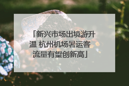 新兴市场出境游升温 杭州机场暑运客流量有望创新高