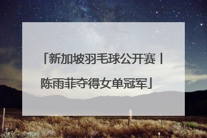 新加坡羽毛球公开赛丨陈雨菲夺得女单冠军