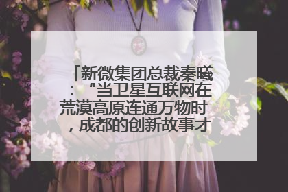 新微集团总裁秦曦：“当卫星互联网在荒漠高原连通万物时，成都的创新故事才真正开始”