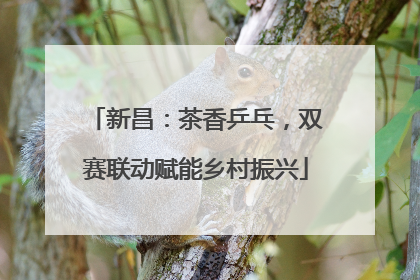 新昌：茶香乒乓，双赛联动赋能乡村振兴