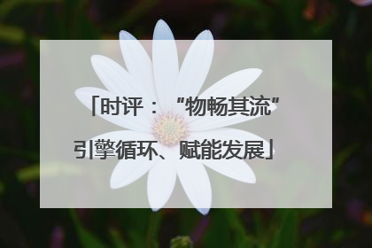 时评：“物畅其流”引擎循环、赋能发展