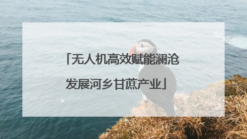 无人机高效赋能澜沧发展河乡甘蔗产业