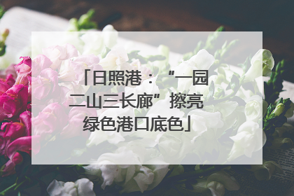 日照港：“一园二山三长廊”擦亮绿色港口底色