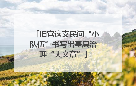 旧宫这支民间“小队伍”书写出基层治理“大文章”