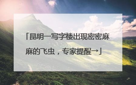 昆明一写字楼出现密密麻麻的飞虫，专家提醒→