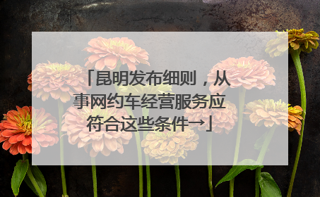 昆明发布细则，从事网约车经营服务应符合这些条件→