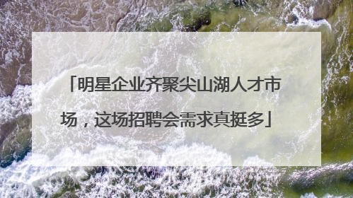 明星企业齐聚尖山湖人才市场，这场招聘会需求真挺多