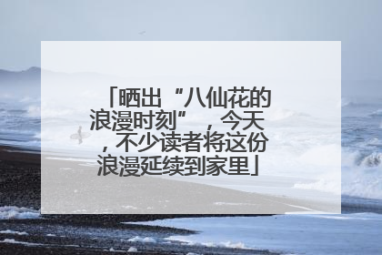 晒出“八仙花的浪漫时刻”，今天，不少读者将这份浪漫延续到家里