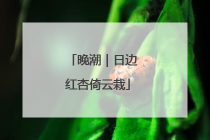晚潮｜日边红杏倚云栽