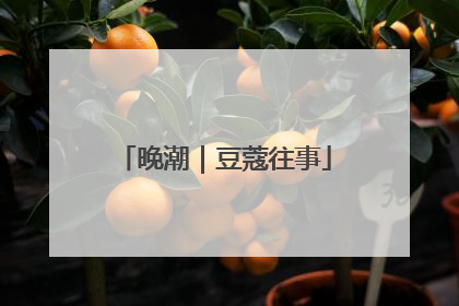 晚潮｜豆蔻往事
