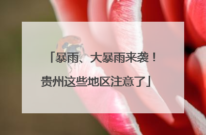 暴雨、大暴雨来袭！贵州这些地区注意了