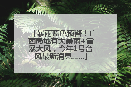 暴雨蓝色预警！广西局地有大暴雨+雷暴大风，今年1号台风最新消息……