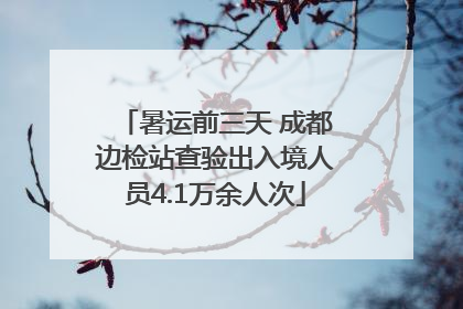 暑运前三天 成都边检站查验出入境人员4.1万余人次