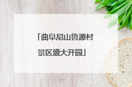 曲阜尼山鲁源村景区盛大开园