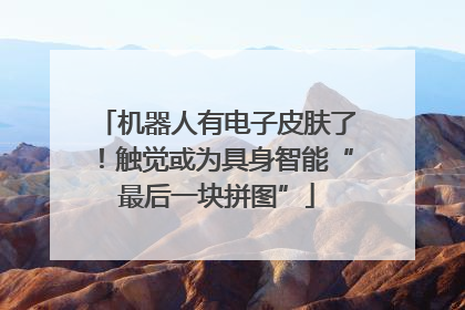 机器人有电子皮肤了！触觉或为具身智能“最后一块拼图”