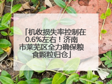 机收损失率控制在0.6%左右！济南市莱芜区全力确保粮食颗粒归仓