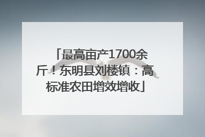 最高亩产1700余斤！东明县刘楼镇：高标准农田增效增收