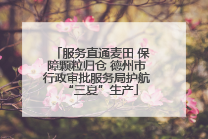 服务直通麦田 保障颗粒归仓 德州市行政审批服务局护航“三夏”生产