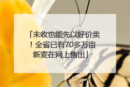 未收也能先以好价卖！全省已有70多万亩新麦在网上售出