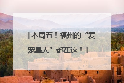 本周五！福州的“爱宠星人”都在这！