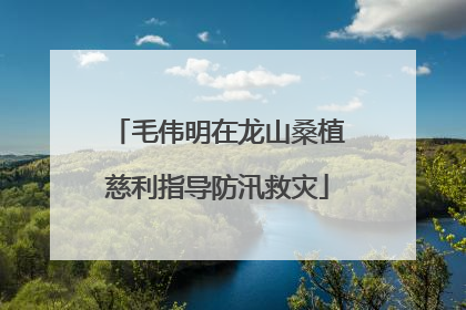 毛伟明在龙山桑植慈利指导防汛救灾