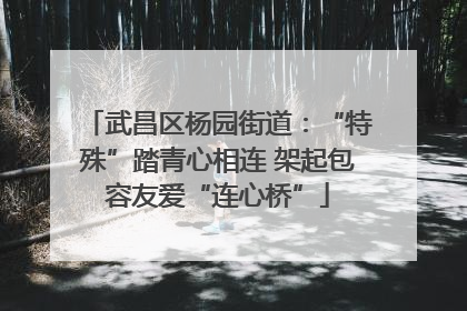 武昌区杨园街道：“特殊”踏青心相连 架起包容友爱“连心桥”