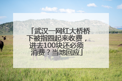 武汉一网红大桥桥下被指圈起来收费，进去100块还必须消费？当地回应