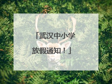 武汉中小学放假通知！