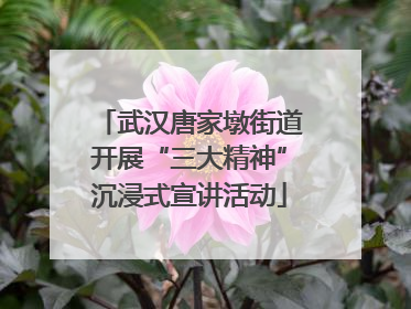 武汉唐家墩街道开展“三大精神”沉浸式宣讲活动