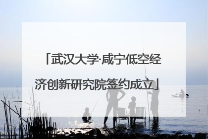 武汉大学·咸宁低空经济创新研究院签约成立