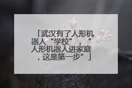 武汉有了人形机器人“学校”，“人形机器人进家庭，这是第一步”