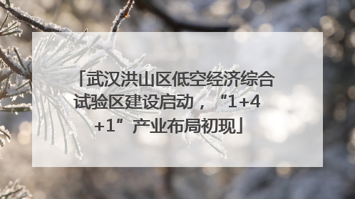 武汉洪山区低空经济综合试验区建设启动，“1+4+1”产业布局初现