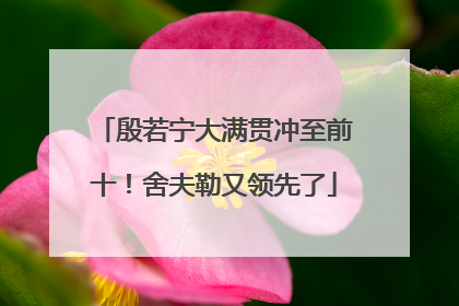 殷若宁大满贯冲至前十！舍夫勒又领先了