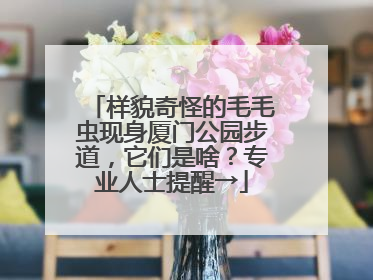 样貌奇怪的毛毛虫现身厦门公园步道，它们是啥？专业人士提醒→