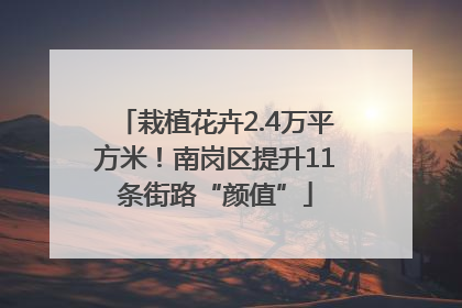 栽植花卉2.4万平方米！南岗区提升11条街路“颜值”