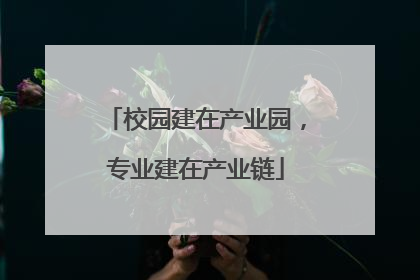 校园建在产业园，专业建在产业链