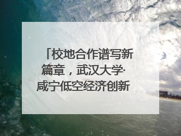 校地合作谱写新篇章，武汉大学·咸宁低空经济创新研究院签约成立