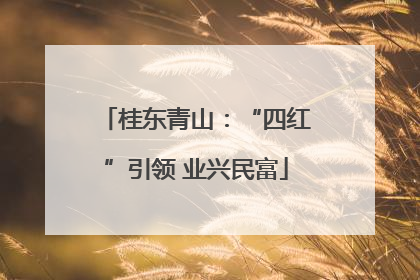桂东青山：“四红”引领 业兴民富
